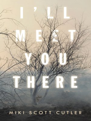 cover image of I'Ll Meet You There